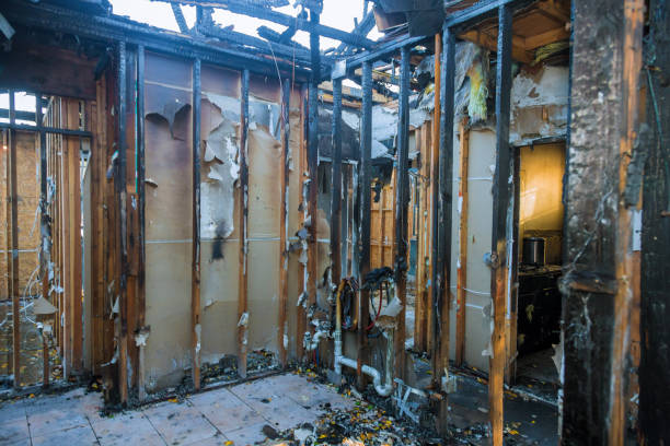 Professional Fire Damage Repair technician working in Limestone Creek, FL